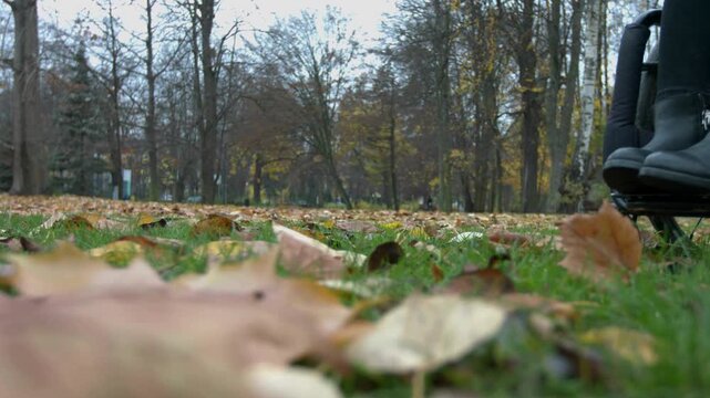 close up on legs and wheelchair of disabled paralyzed person in autumn park.