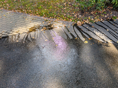 wet asphalt surface of a road of public park after watering with sweeper machine.