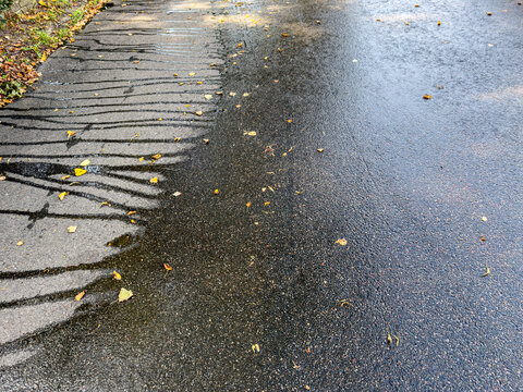 damp asphalt of park walkway after watering by with sweeper machine.