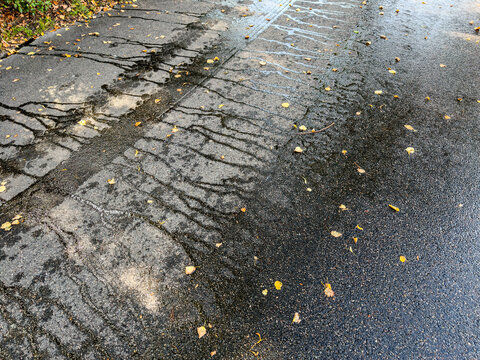 wet asphalt surface of park road with water stream-lets after watering by sweeper machine.
