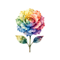 Obraz premium A watercolor painting of a rose with petals in rainbow colors on a white background