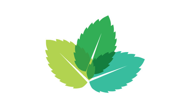Transparent overlapping green mint leaves graphic icon represents fresh herbal seasoning and natural organic flavor.