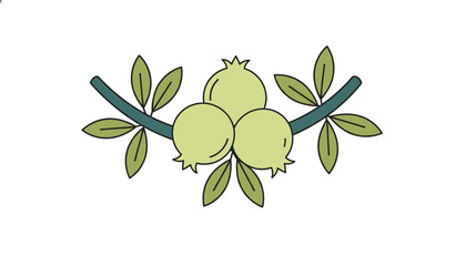 Fototapeta premium Stylized green pomegranate or guava fruits growing on a branch with leaves in a symmetrical vector illustration.