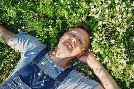 Mature man relaxing in nature, lying among wildflowers with eyes closed
