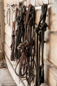 Horse tack and ropes hanging on a wooden stable wall