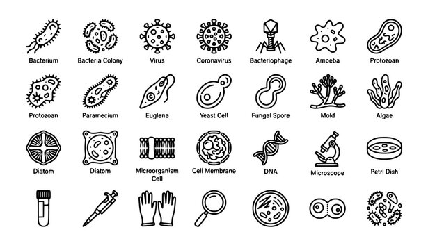 30 Microorganism and Microbiology Outline Linear Icons Editable Vector Set