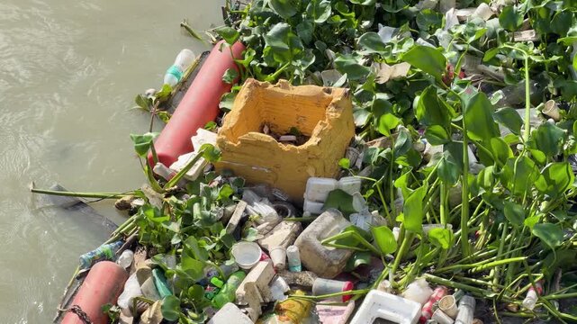 Floating garbage patch with water hyacinth and plastic waste polluting river ecosystem.