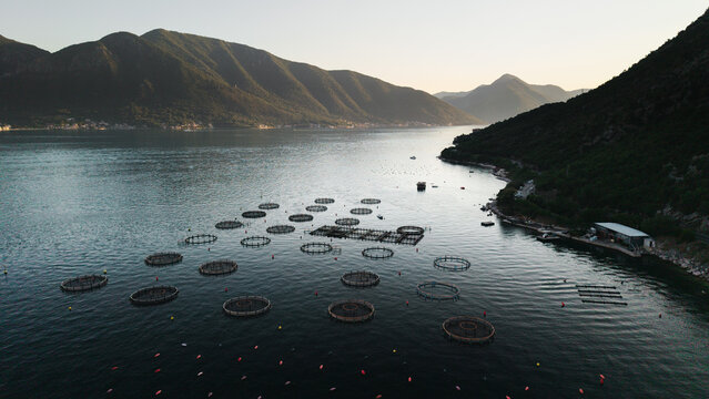 Cogimar Fish Farm in Ljuta in the Bay of Kotor Montenegro