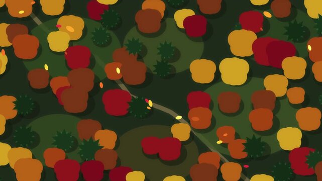 Top down view of animated autumn forest, trees in red yellow orange, winding path, loop motion graphic
