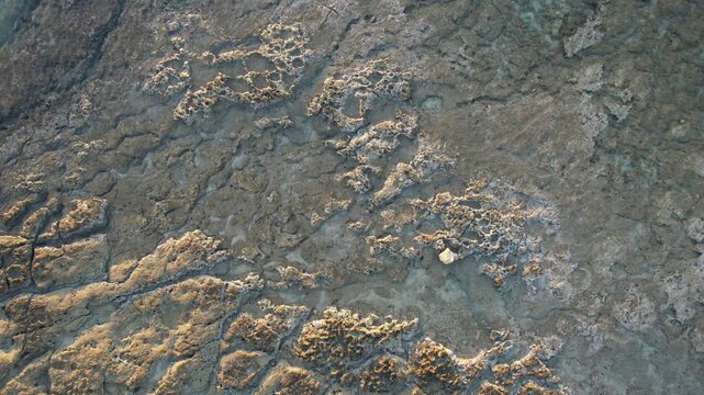 Crystal clear water surface creating caustic light patterns over a rocky and textured ocean floor