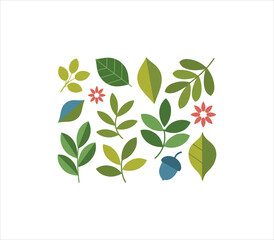 Obraz premium Flat design set of colorful autumn leaves and forest plants with acorns and flowers