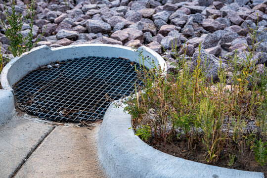 stormwater catch basin or drop inlet surrounded by riprap (large stones) and some weedy vegetation. civil engineering infrastructure