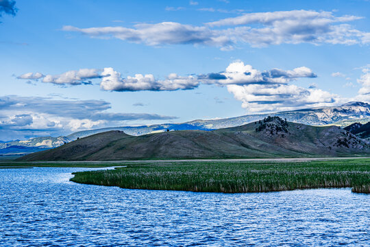 Cattail Marsh and Rolling Hills under Summer Clouds
