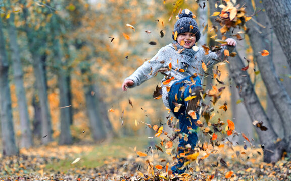 Carefree Childhood in a Beautiful Autumn Landscape