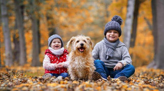 Happy Children Sitting Side by Side with their dog at a Golden Autumn 