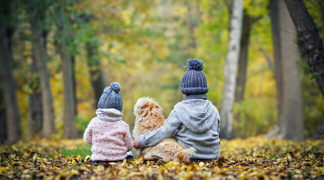 Childhood Friendship with their dog in the autumn park 