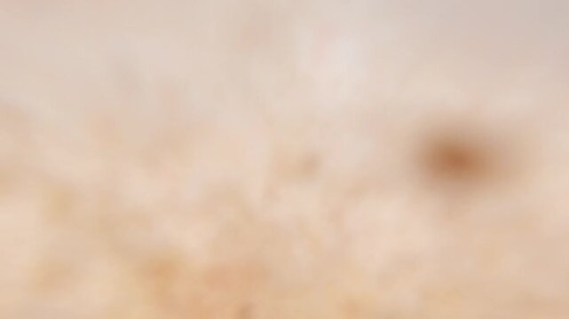 Slow motion low angle view of white sea foam washing ashore on golden sand beach under turquoise ocean and clear blue sky.

