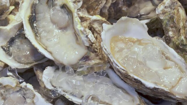 Fresh oysters in ice at a night food market