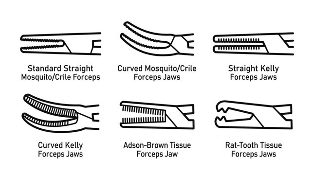 Forceps jaw types illustrated with technical medical labels.