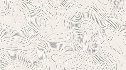 Fototapeta premium Full Frame Minimal Topographic Contour Map