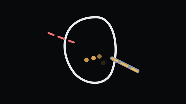 Kidney filtration - Medical, Lab and Life Sciences Clinical, Laboratory and Human-Body Motion
