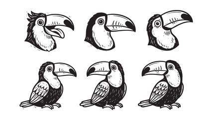 Fototapeta premium Set of hand drawn toucan bird illustrations in black and white ink sketch style for tropical wildlife design elements and nature themed graphic projects on transparent background