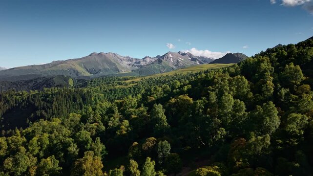 Aerial view over green mountain forests and peaks. parallax effect