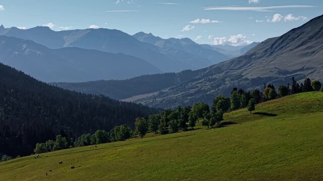 Horses Grazing on Alpine Mountain Meadow Landscape. parallax effect