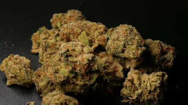 Marijuana cannabis sativa or indica, rotating against a black background.