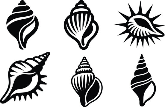 Sea shell silhouettes marine mollusk ocean conch vector illustration set isolated on white background