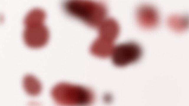 Animated red blood cells drifting on white background, abstract defocused microscope view, haematology, anaemia, donation and medical research visual