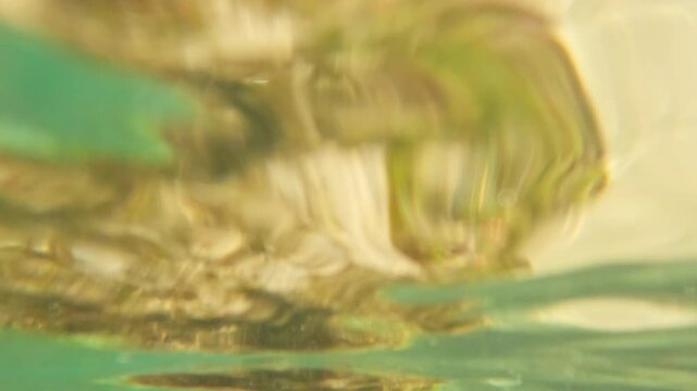 Underwater shot looking up at wavy sea surface during golden hour. Sunlight refracts through teal tropical ocean water.
