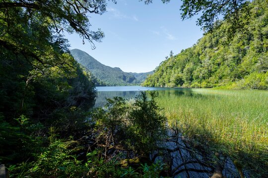 Lake Laguna Chaiquenes between wooded mountains, Patagonia Verde, Parque Nacional Alerce Andino, Ruta de los Parques, Llanquihue, Los Lagos, Chile