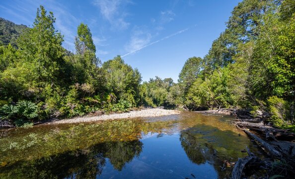 Rio Chaicas stream flows through temperate rainforest, sun star, Valdivian rainforest, Patagonia Verde, Parque Nacional Alerce Andino, Ruta de los Parques, Llanquihue, Los Lagos, Chile
