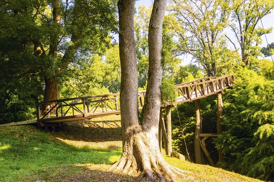 Wooden bridge in nature surounded by green trees. Dendrological park. Batumi.Georgia