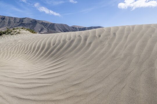Dune landscape, Playa de Famara, Lanzarote, Canary Islands, Spain