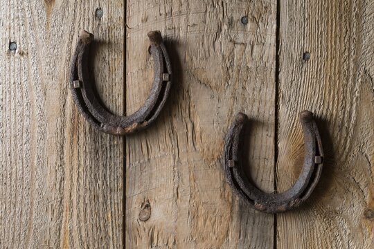 Horseshoe on a wooden wall, L&yacute;tingssta&eth;ir, near Varmahl&iacute;&eth;, Iceland