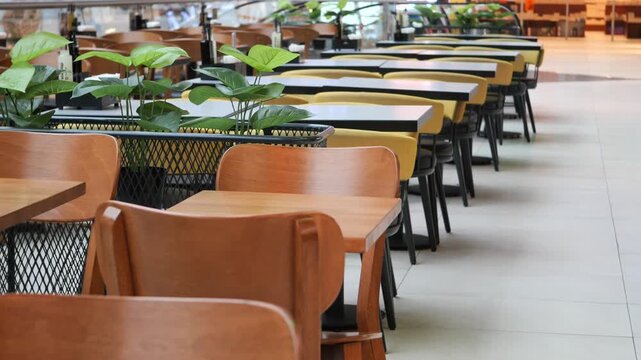 Empty cafe tables and chairs arranged in a row with plants indoors