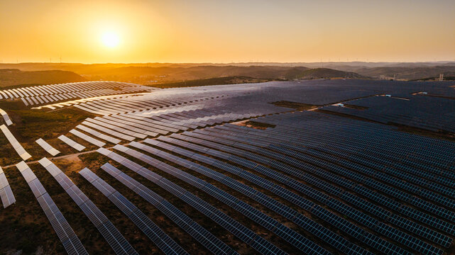 Vast Solar Farm Illuminated by Golden Sunset
