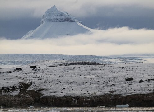 One of the three mountains Tee Kroner, Wolkenverhugen, Kongsfjord or Kongsfjorden, Spitsbergen archipelago, Svalbard, Norway