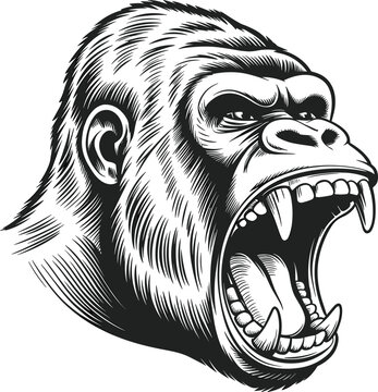 Angry roaring gorilla head mascot illustration, aggressive silverback primate hand drawn engraving vector graphic