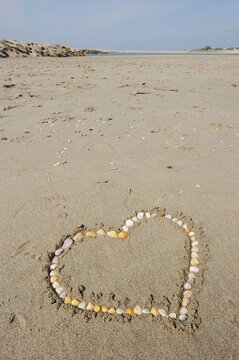 Heart made of mussel shells on the beach, Camargue, Provence, South of France