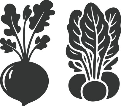 Fresh organic beetroot and radish silhouette icon set, healthy root vegetables with leafy tops vector food illustration