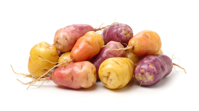 Pile of colorful oca tubers or New Zealand yams on white background