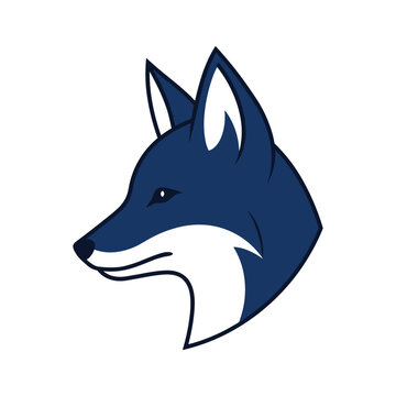 Blue fox head vector illustration profile with white chest and sharp ears