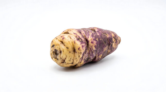 Fresh raw oca tuber root vegetable isolated on white background