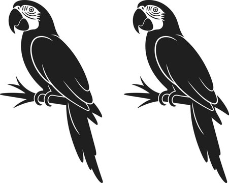 Macaw parrot silhouette set sitting on tree branch, tropical jungle exotic bird vector graphic illustration