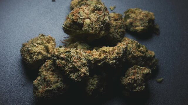 Marijuana cannabis sativa or indica, rotating against a black background.