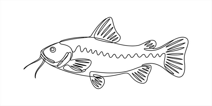 Continuous single line drawing of a catfish swimming in a simple minimalist style for logo or creative design