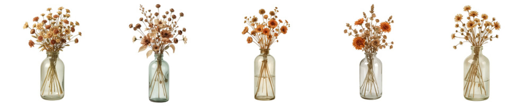 Assortment of dried flowers in clear glass vases creates an elegant and minimalist decorative arrangement